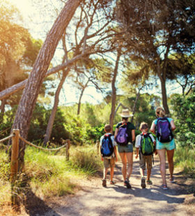 Balades - Activités Camping résidentiel La Forêt