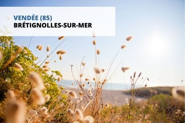 Domaine résidentiel La Corniche à Brétignolles sur mer