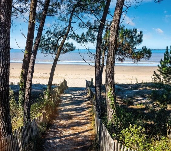 Accès Plage Camping Résidentiel La Forêt - Charente-Maritime